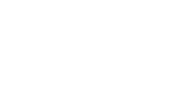 Lynn Group Companies